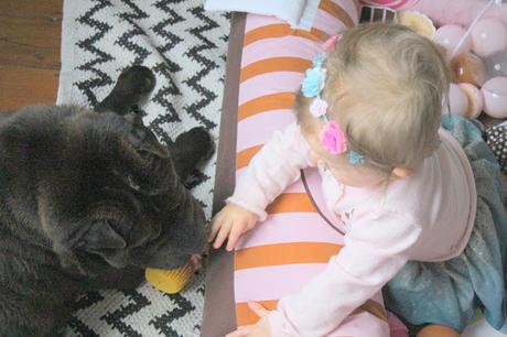 La Belle et la Bête