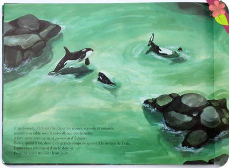 Que nous a-t-elle ramené de la bibliothèque de l'école ? #19