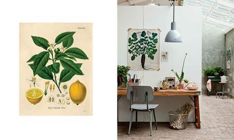 12 produits que l'on s'arrache en brocante | elephant in the room