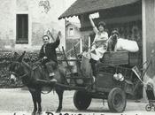 amis Sophie DominIque