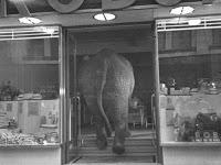 L'Éléphant & Le Magasin de Porcelaine