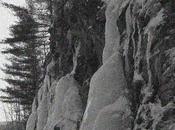 Katherine Pancol bien raison