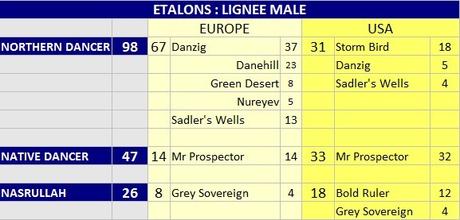 Etalons : la lignée mâle