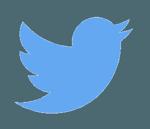 Twitter: tout ce qu’il faut savoir des nouvelles publicités dans votre flux