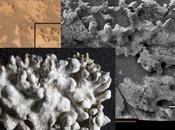 structures forme choux-fleurs Mars