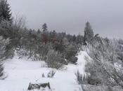 C'était "paradis blanc"