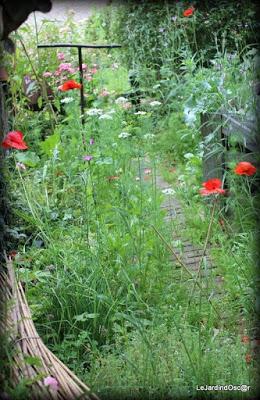 Objectif 2016...Retour au potager ! (1)