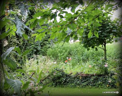 Objectif 2016...Retour au potager ! (1)