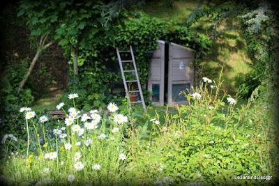 Objectif 2016...Retour au potager ! (1)