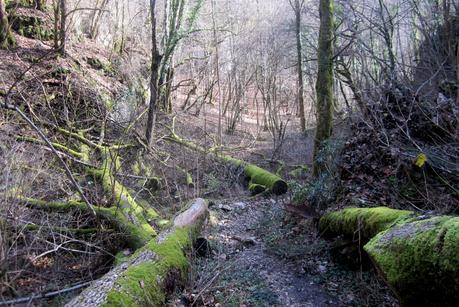 Visite au sommet....!