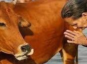 Fraternité cosmique