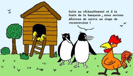 119- 20150610174444 Pingouins et poules reconversion 300dpi