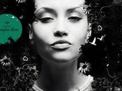 Illustrations photos Doug Alves