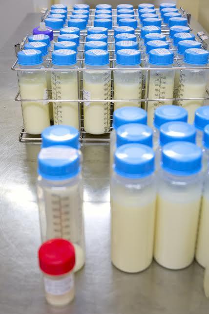 Lactarium lait tire-lait  allaitement maternel biberon