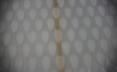 ZOOM on Seventeen model by UWL surfboards