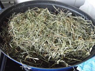 Noix de jambon cuite au foin