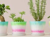 Discoveries No.18 Design Farm