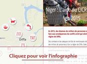 [Infographie] Niger L’aide population Diffa 2015