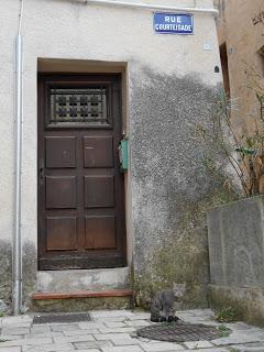 Chats de Provence: un album