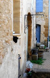 Chats de Provence: un album