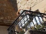 Chats Provence: album