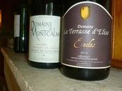 Terrasses Larzac Montcalmès 2012 Pays l'Hérault Terrasse d'Elise Enclos