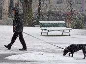 ballade Genève sous neige