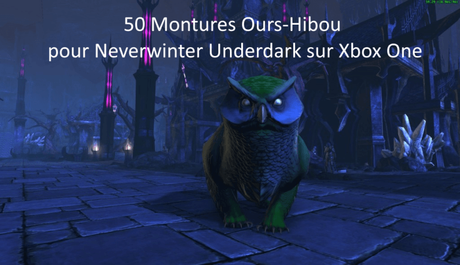 [Concours] Neverwinter Underdark à gagner 50 Ours-Hibou sur Xbox One