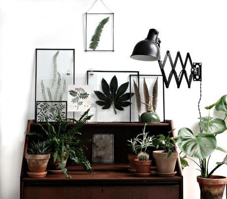 DIY : fleurs et feuillages sous verre