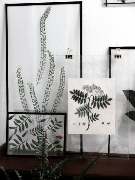 DIY : fleurs et feuillages sous verre