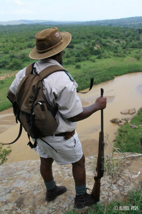 Hluhluwe Imfolozi safaris en afrique du sud (2)