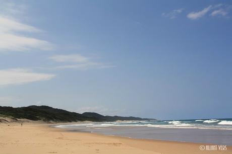 Isimangaliso safaris en afrique du sud (2)