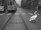 Traverser route science