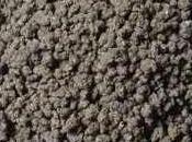 Engrais organiques: définition, pourquoi, quand?