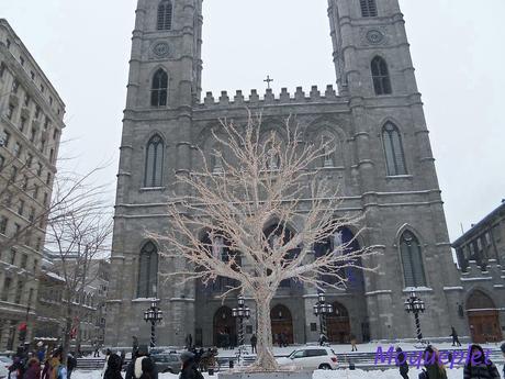Canada - La Basilique Notre Dame de Montréal …1