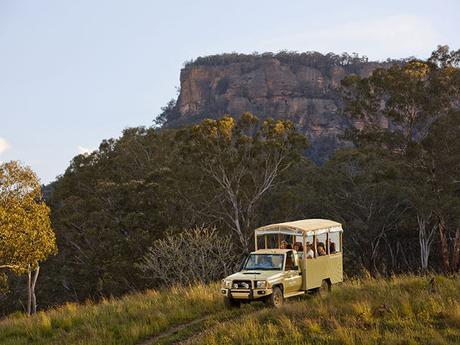 australie_emirates_wolgan_valley_resort_wildlife-drive-safari_052