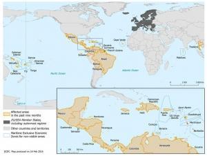 ZIKA: Des lésions oculaires graves chez les nourrissons atteints de microcéphalie  – BMJ