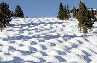 Et Dieu créa les bosses ...