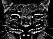 Single French Lynx Jean-Louis Murat