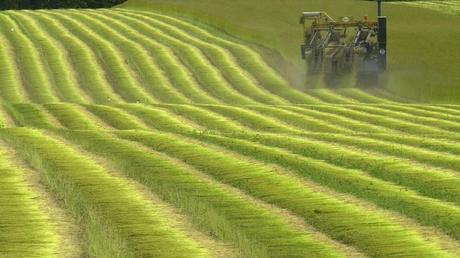 Les internautes se disent prêts à payer des produits alimentaires plus cher pour aider les agriculteurs français