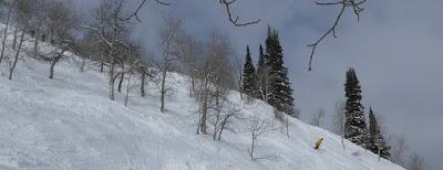 Mener à ski ...