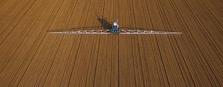 Pesticides: faut-il craindre nos fruits et légumes?