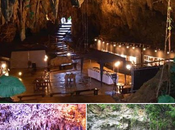 promenade Cave Café Japon