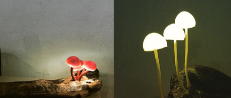 lampe champignons