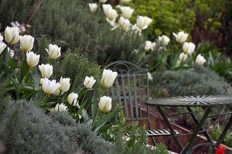 Un jardin merveilleux dans le Sussex