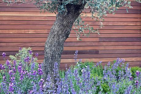 Un jardin merveilleux dans le Sussex