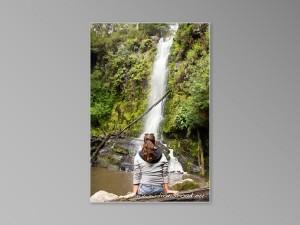 Erskine falls Lorne Great ocean road Victoria Australie