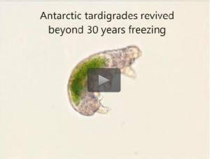 CRYOBIOLOGIE: Ils revivent après 30 ans passés dans la glace – Cryobiology