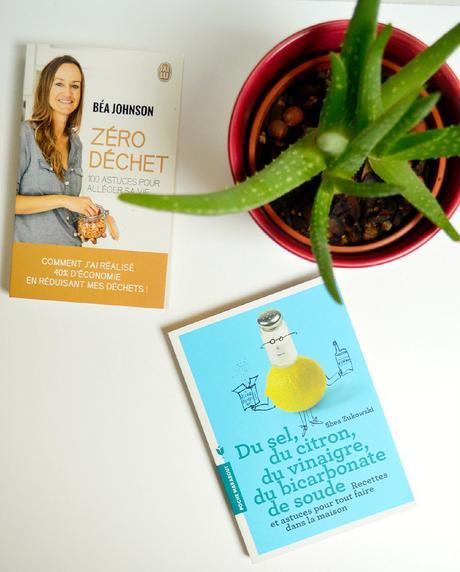 Minimalisme et zéro déchet | Mes lectures essentielles #1 DSC_0183edited