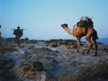 Voyager seul à Djibouti